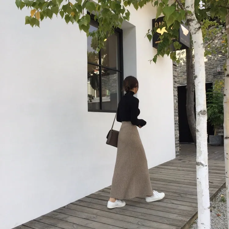 Aara Knit Long Skirt